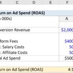 Maximizing Return on Ad Spend