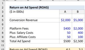 Maximizing Return on Ad Spend