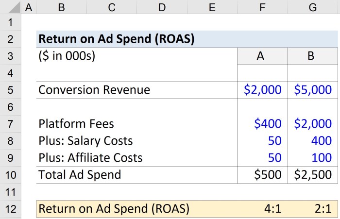 Maximizing Return on Ad Spend